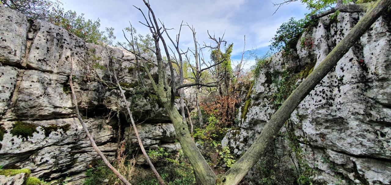 La Grange - Chez Gisi - Fuer Naturliebhaber, Abenteurer Und Geniesser Rocles  Exteriér fotografie