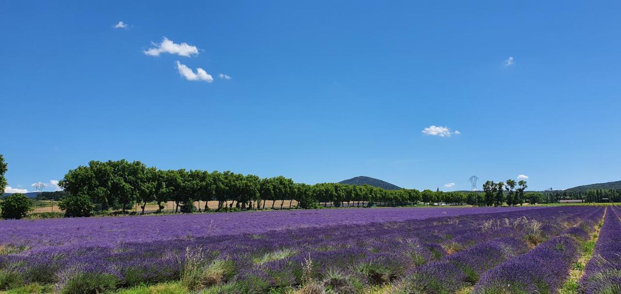 La Grange - Chez Gisi - Fuer Naturliebhaber, Abenteurer Und Geniesser Rocles  Exteriér fotografie